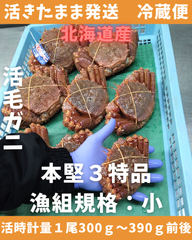 活きたまま　活毛ガニ　300～390ｇ1尾 　小サイズ　冷蔵便