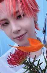 【中古】コレクションカード(男性) JO1/川尻蓮/CD「BE CLASSIC」初回限定盤A(YR-1266)封入特典セルカトレーディングカード