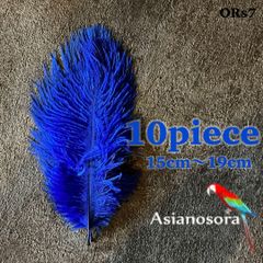 ◾️⭐︎【ORs7青】10本15-19cm オーストリッチ フェザー 羽根