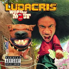 2025年最新】LUDACRIS レコードの人気アイテム - メルカリ