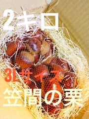 茨城県産【笠間の栗】2kg 3Lサイズ