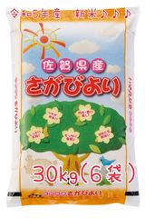 令和6年🌾佐賀県産さがびより20kg(5kg×4袋) - メルカリ