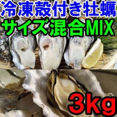 【日時指定可能】送料無料 ３kg サイズＭＩＸ冷凍便 3ｷﾛ 殻付き牡蠣 殻付き 殻付 カキ 加熱用 松島牡蠣屋「冷凍MIX  ３kg」カキ 牡蛎 BBQかきバーベキュー 貝類 貝 冷凍牡蠣 カキ 牡蛎 kaki かき
