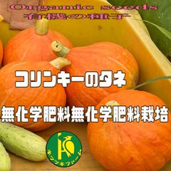 コリンキーの種子10粒　無農薬・無化学肥料栽培のタネ