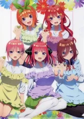 【中古】クリアファイル 集合 描き下ろしイラスト 制服エプロンver. A4クリアファイル 「映画 五等分の花嫁」