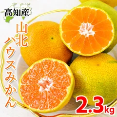 2025年最新】山北みかん 3sの人気アイテム - メルカリ 