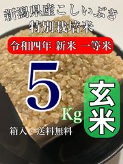【農家直送】玄米5キロ 新潟県産こしいぶき 特別栽培米 4年産