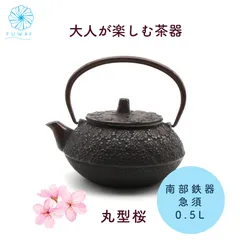 未使用 本物砂鉄 南部鉄器 清末 急須 錆びにくく澄んだ音色が
