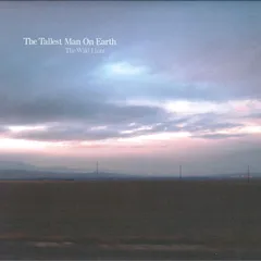 米LP Tallest Man On Earth The Wild Hunt DOC040 Dead Oceans 未開封 /00260