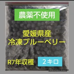 2025年最新】ブルーベリーの人気アイテム - メルカリ