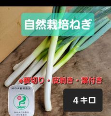 【夏セール終了！】自然栽培ねぎ４キロ　根無し・葉付き