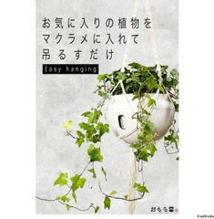 オパールブルー Sサイズ ハンギングプランター 多肉植物 盆栽 観葉植物 花 お