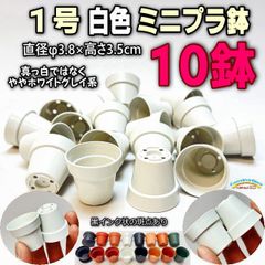 平日＊日中注文即日発送-1号鉢ミニプラ鉢＊白色鉢(ホワイト)-10鉢＊1寸鉢＊多肉植物・塊根植物コーデックス・アガベ・サボテン・盆栽・観葉・ハオルチア・アデニウム・パキポディウム・実生・一寸鉢10個＠フラワーショップ江口