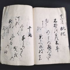散らし書き 書道◆女今川并十二月和歌◆和歌 歌集 短歌 国文学 文章 手本 江戸時代物 木版 骨董 古美術 古典籍 古文書 和本 古書#和本～江戸屋～