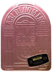 【中古】[数量限定版]A3! BLOOMING LIVE 2019 SPECIAL BOX [Blu-ray]