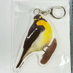 キビタキレジンヘアゴム夏鳥野鳥