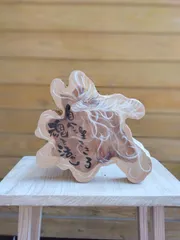 2026年最新】カイヅカイブキの人気アイテム - メルカリ