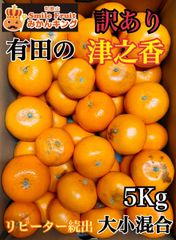 希少品種　和歌山県産　訳あり有田の津之香　5Kg みかんキング