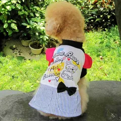 犬の服　クマのワンピース