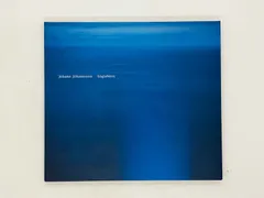 Johann Johannsson ヨハン　ヨハンソン レコードセット Johann Johannsson ヨハンヨハンソン レコードセット