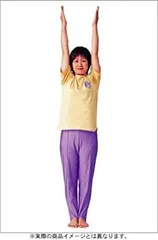 ⭐️今だけ値下げ中 非売品DVD3枚組 秘術 自彊術療法