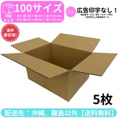 段ボール ダンボール 箱 100サイズ 5枚セット 新品 国産 梱包材 梱包資材