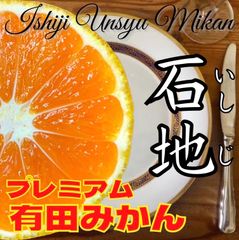 いしじみかん　2.5キロ 減農薬