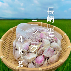 長崎県産　乾燥にんにく　バラ　4kg