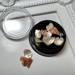 天然 シェル 大きめ ハンドメイド パーツ
