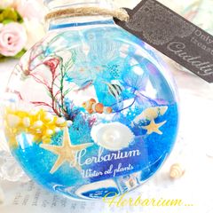海ハーバリウム❁⃘*.ﾟ マリンハーバリウム 熱帯魚  ギフト インテリア