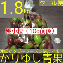 沖縄産★ミニマンゴー 約6kg クール便発送 沖縄県産マンゴー