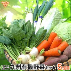 おためし有機野菜セット５品目 九州産 冷蔵便 有機JAS 有機栽培 詰め合わせ 無農薬
