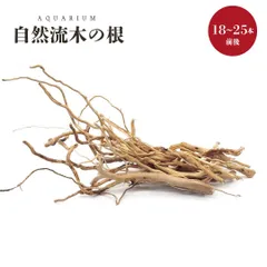 アクアリウム 流木 ーVer4ー 自然の流木の根 木の根 1束50gセット 極細ルーツウッド 形状お任せタイプ 15～30cm 極細流木 水槽撮影 テラリウム レイアウト用品 流れた木 水草 隠れ家 活着ベース 水槽 淡水水槽 爬虫類 両生類 熱帯魚