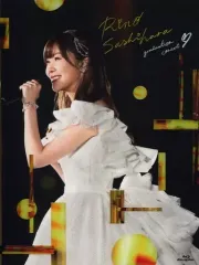 指原莉乃 大感謝祭 2019 パーカー マフラータオル ステッカー 指原莉乃 大感謝祭 2019 パーカー マフラータオル ステッカー
