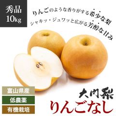 山梨県産枯露柿　干し柿　4キロ冷凍便 山梨県産枯露柿 干し柿4キロ冷凍便 - メルカリ