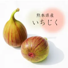 2025年最新】いちじくカラーの人気アイテム - メルカリ