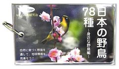 ☆値下げ☆送料無料☆カードブック（野鳥図鑑　ポケットタイプ） 日本の野鳥78種～身近な野鳥編～