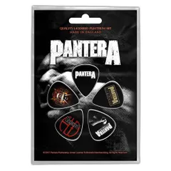 DAMAGEPLAN ダイムバッグ・ダレル ギター ピック PANTERA レア