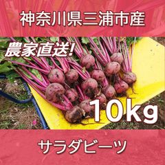Natural farming 七田式 腸脳相関 菌活 食養生 自然栽培野菜 Natural farming 七田式 腸脳相関 菌活 食養生 自然栽培野菜