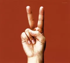 Bloodthirsty Butchers / Birdy ステッカー付 bloodthirsty butchers ステッカー付 - メルカリ