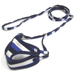 Item thumbnail for item 3e888952-c815-4963-aebb-02df8d66bd50