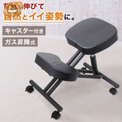 イーサプライ バランスチェア あぐらチェア キャスター付き EEX-CHB03