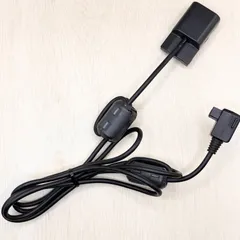 ソニーハンディカムDCR-PC1専用ビデオカメラ用充電器と特殊ケーブルDK115 2025年最新】SONY DK-115の人気アイテム - メルカリ