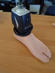 Item thumbnail for item 000d96dd-9909-4fe5-bdb1-5f401d21554a