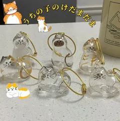 なおこ追加あられ⑱大きめ!❣️ ももホイップ❣️6苗メルカリ便送料込 ポゴ 38HS 陰キャ、釣りにハマる。コラボカラー 全色セット
