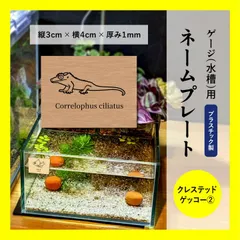 【送料込み】 ゲージ・水槽用ネームプレート ★クレステッドゲッコーのイラスト入り オーダーメイド PP プレート 名札 nameplate-cage-pp-kresgk2のサムネイル