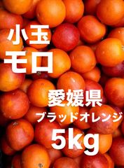 愛媛県産　モロ　ブラッドオレンジ　柑橘　5kg