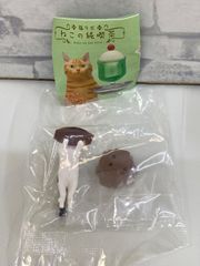【L6-38】△ ブチとナポリタン 「猫ラボ ねこの純喫茶」のサムネイル