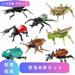 メキシコ産サリーキンイロコガネ24mm