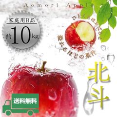 青森県産 ＂ 北斗 ＂ りんご【ご家庭用B品10kg】【送料無料】【産地直送】リンゴ 林檎